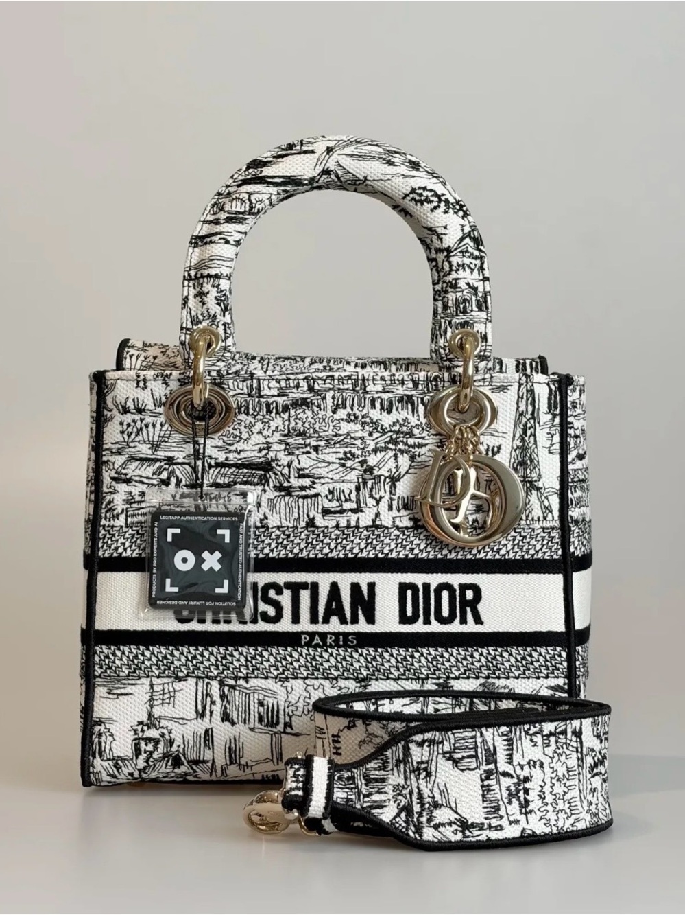 Christian Dior Lady D-Lite Medium Toile de Jouy Black White Gold Hardware
